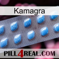 Kamagra viagra3